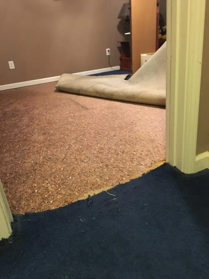Carpet pad removal revealing water damage during Water Mitigation Services in Punta Gorda
