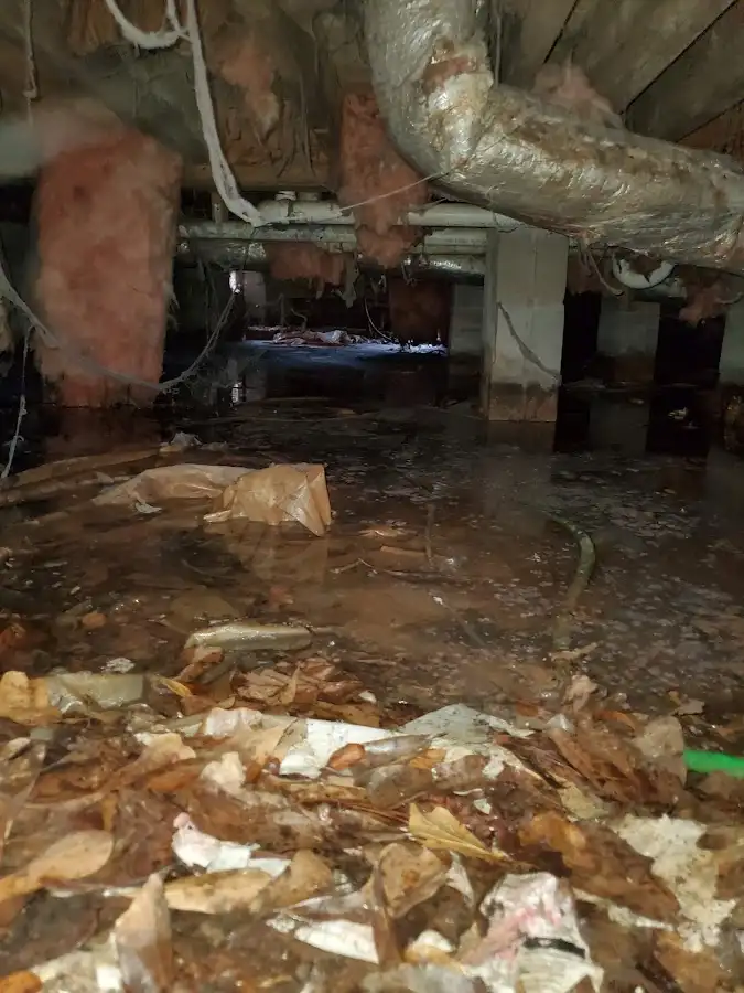 Crawl space flood assessment for Commercial Water Damage Restoration in Punta Gorda