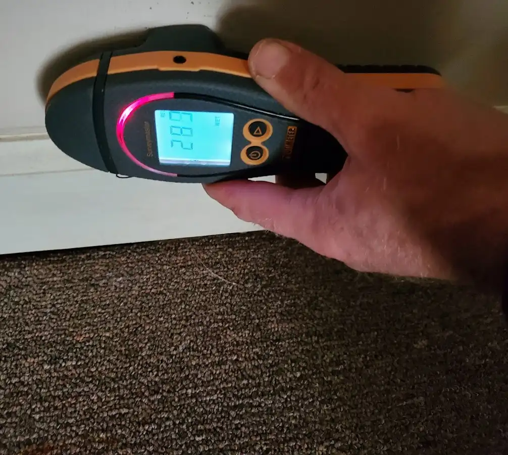 Moisture detection at baseboard during Mold Inspection & Testing in Punta Gorda